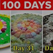 Can Gummies Go Bad 100 Day Time Lapse