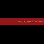 Peeing On Carpet SOUND Effect