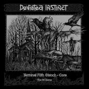 Birthright To Subservience