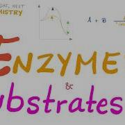 Enzyme Activity Enzyme And Substrate Key And Lock Theory Vs Induced Fit Model Biochemistry