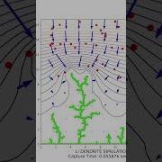 Dendrite Simulation