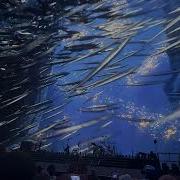 Kenny Chesney S Epic Opening Night At The Las Vegas Sphere Stunning Intro Visuals