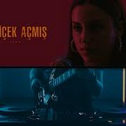 Fasıl ı Jazz AYVA ÇİÇEK AÇMIŞ