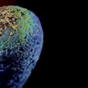 Match Burns In Ultra Slow Motion In Captivating Video
