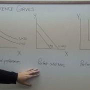 Microeconomics Three Types Of Indifference Curves