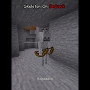Java Skeleton VS Bedrock Skeleton