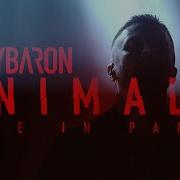 MOLYBARON Animals Live At La Boule Noire