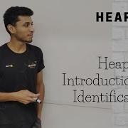1 Heap Introduction And Identification