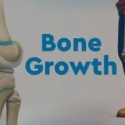 Bone Growth And Limb Deformities