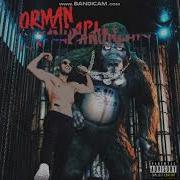 Ben Fero Biladerim İçin Official Audio