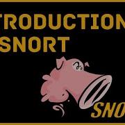 Introduction To Snort IDS