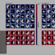 Neural Coding Of Object Structure In The Ventral Visual Pathway