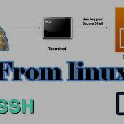 Подключение к экземплярам EC2 по SSH и RDP с использованием Linux Mac