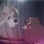 Lady And The Tramp Animash Hypnotic