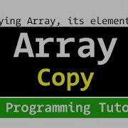 Copying Array And Its Elements Java Programming