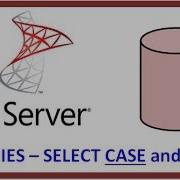 SQL Server Query Table Record Data Via TSQL SELECT CASE Statement Logic And Field Concatenation