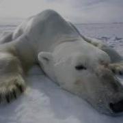 Datsik Mechano