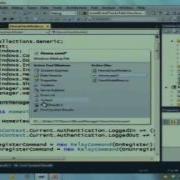 Silverlight 4 Business App MVVM
