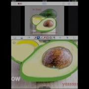 Advanced Doceri Tutorial