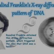 Rosalind Franklin S X Ray Diffraction Pattern Of DNA Explained DNA Structure