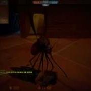 CSO 蚊子 飛刀 Bug