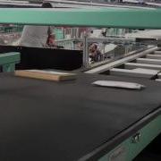 EuroSort Overhead Auto Induction Postal Application
