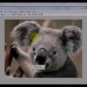 Image Processing Basics In Matlab Part 1 Pixel Basics Color Channels Gray Conversion