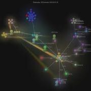 Lencx ChatGPT Gource Visualisation