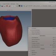 SMILI Animation Example