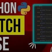 How To Use Python Match Case Statements
