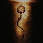 Fear Factory Descent
