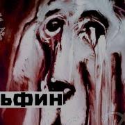 Dolphin Дельфин Снег