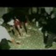 Rick Ross Ft T Pain The Boss HQ Video New Single