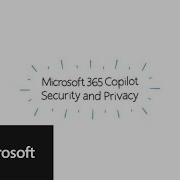 Microsoft 365 Copilot Security Privacy