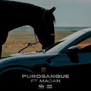 Jakone MACAN Purosangue