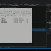 NetCore Remote Function Calling Protect NET Code