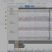 Benchling Tutorial For Students