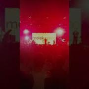 Melek Mosso Keklik Gibi Gezginfestizmir