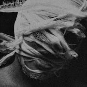 WOUNDS SLOWED