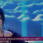 Bülent Ersoy Yıllar