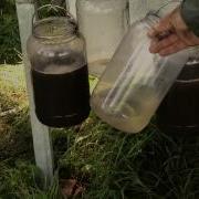 Rainfall Simulator Soil Management Impacts On Water Infiltration