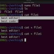How To Create File Delete Files And Directory In Linux