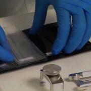 Manual Hybridization Of MiRCURY LNA MicroRNA Arrays