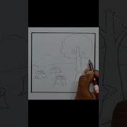 Deforestation Shorts Shortfeed