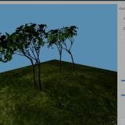 L System Tree OpenGL