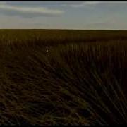 Real Time Grass Simulation Collision Feature