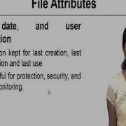 File System Interface I