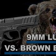 9mm Luger Vs Grizzly