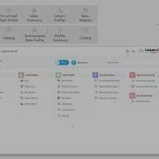 AppVisualize Data Profile Demo