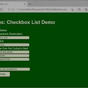 HTML CSS JavaScript Demo Checkboxes Version 1